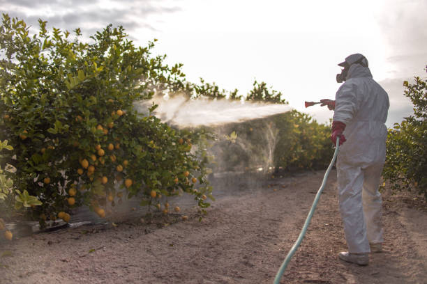 Best Pest Removal Services  in Lindon, UT